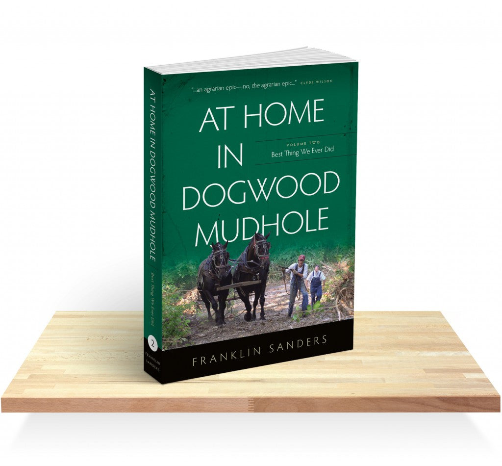 At Home in Dogwood Mudhole Volume Two: Best Thing We Ever Did- Paperback