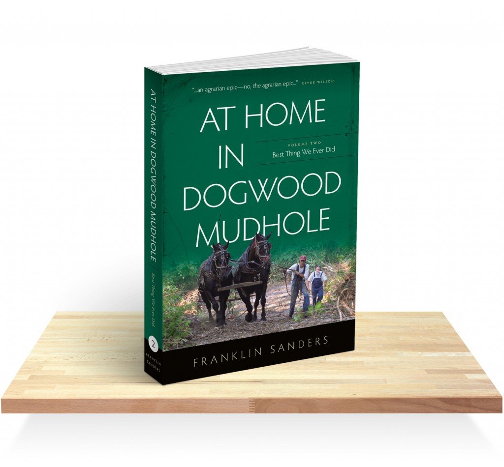 At Home in Dogwood Mudhole Volume Two: Best Thing We Ever Did- PDF