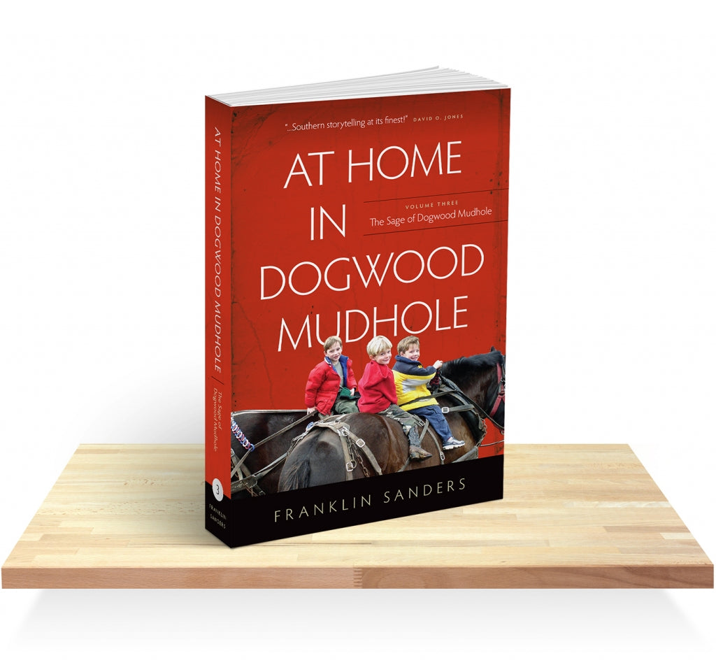 At Home in Dogwood Mudhole Volume Three: The Sage of Dogwood Mudhole- Paperback