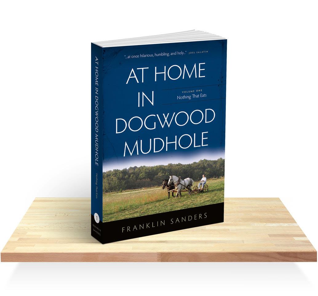 At Home in Dogwood Mudhole, Volume One: The True Story of One Family’s Quest - PDF